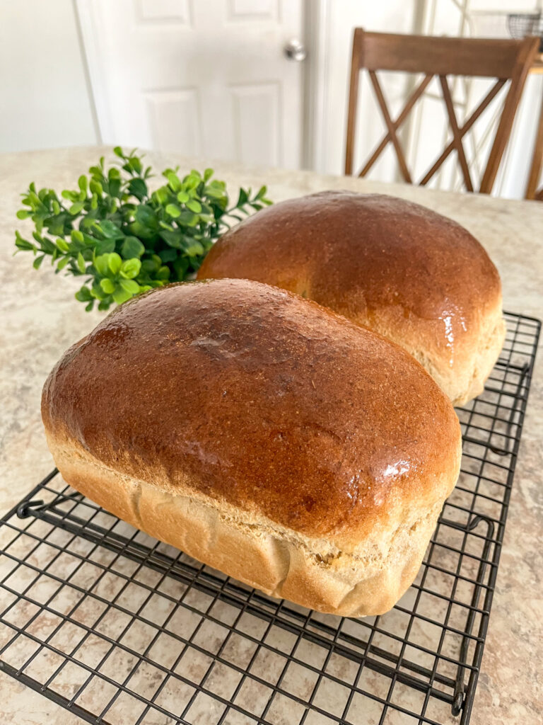 Fresh Milled flour bread loaves resting on a wire baking rack with a green fake plant in the background.