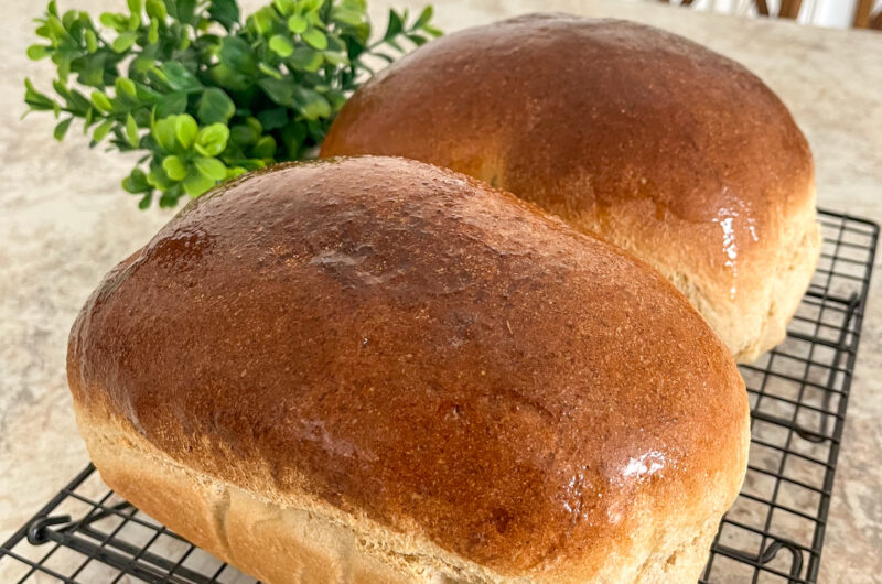 Whole Wheat Bread