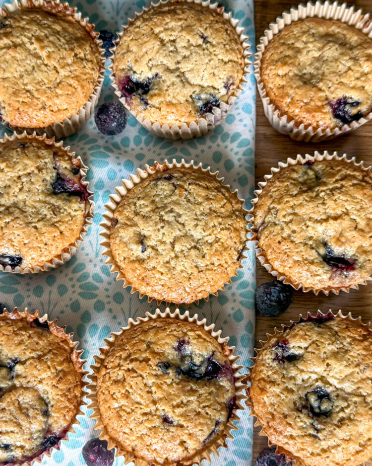Einkorn flour blueberry muffins on a wooden table, arranged on a turquoise and white patterned placemat with fresh blueberries scattered around for a rustic, homemade look