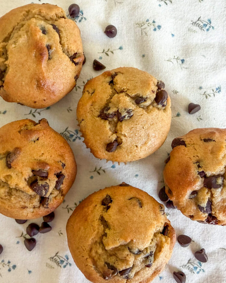 Five einkorn flour sour cream chocolate chip muffins arranged sideways on a neutral floral background