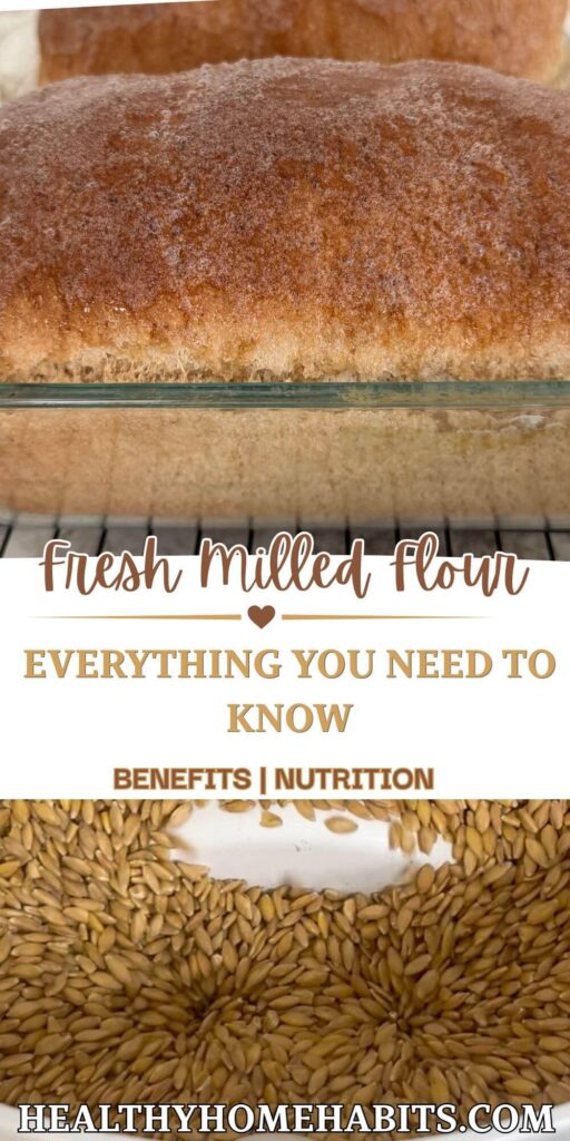 Two loaves of fresh milled flour bread on top of wheat berries in an electric mill. 
