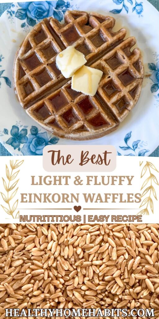 Two images. Image on top is an einkorn waffle with butter and maple syrup on top of a white plate with blue florals. Picture on bottom is a close up of einkorn berries.