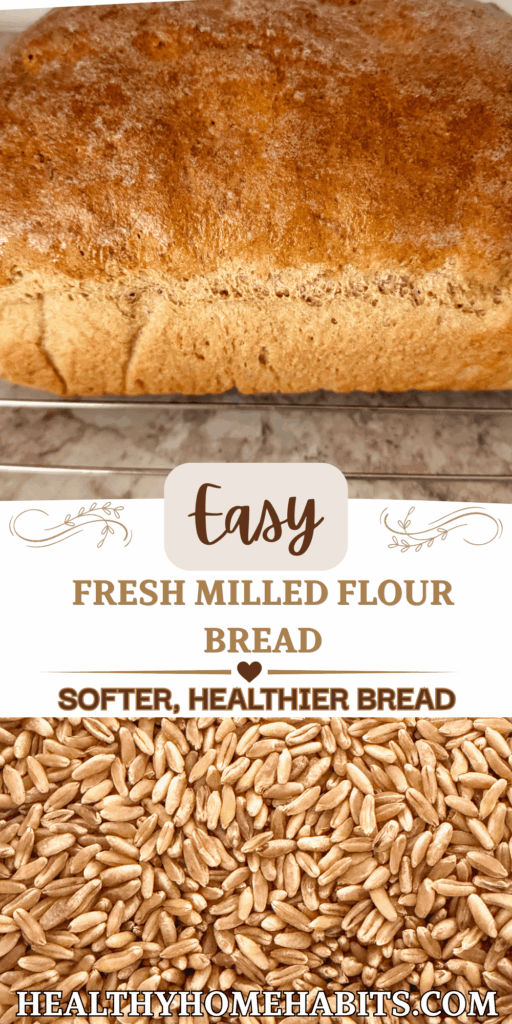 Image has two pictures with text in between. Image on top is a loaf of bread sideways. Image on bottom is a close up of wheat berries. 