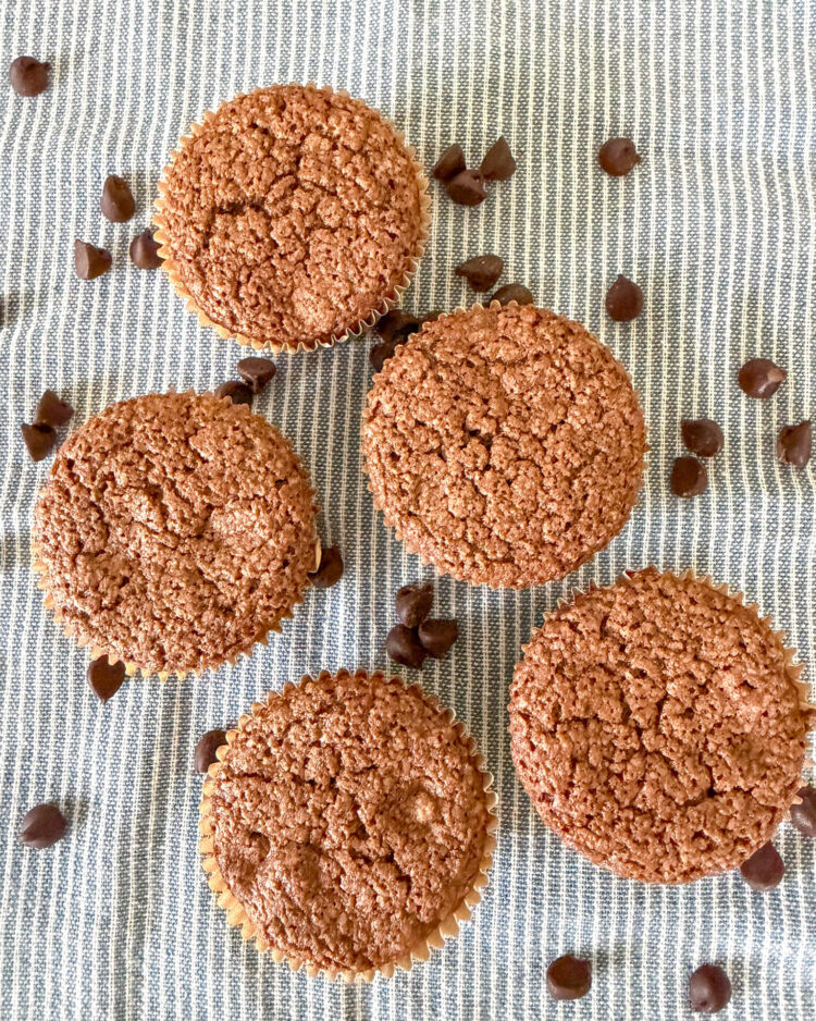 Five chocolate zucchini muffins lined up sideways on a blue and white striped cloth napkin with chocoloate chips sprinkled around.